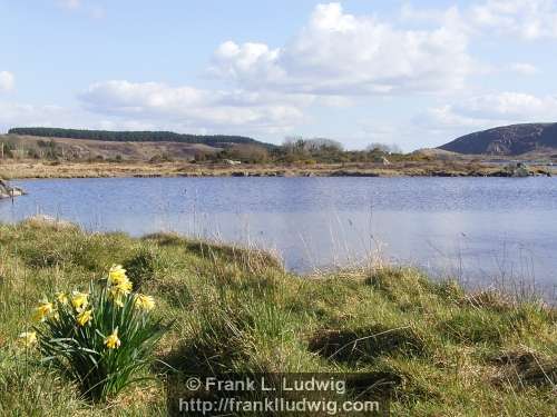 Lough Talt, County Sligo